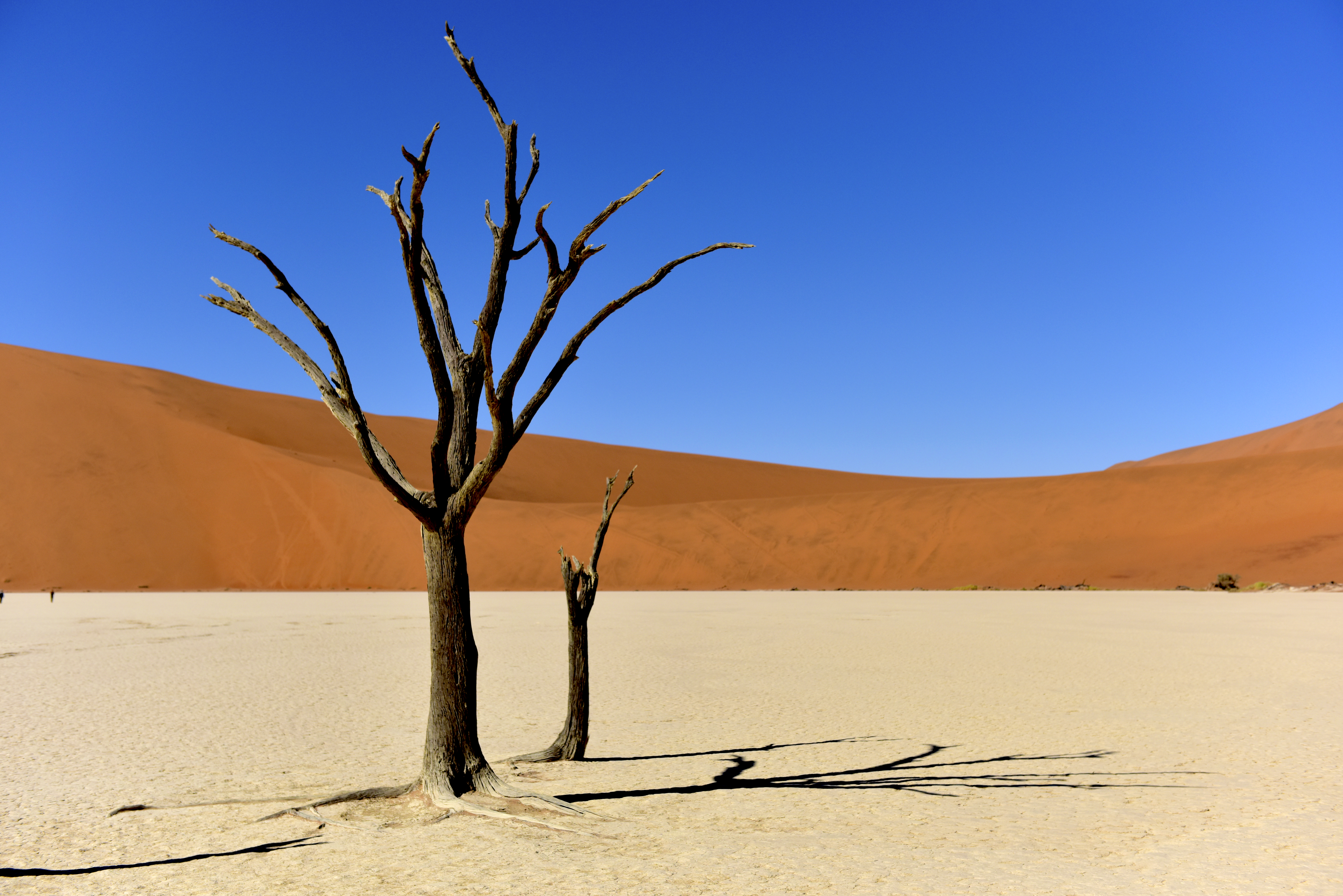 Deadvlei.jpg