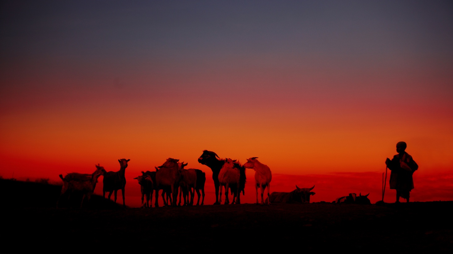 탄자니아 세렝게티 노을.jpg