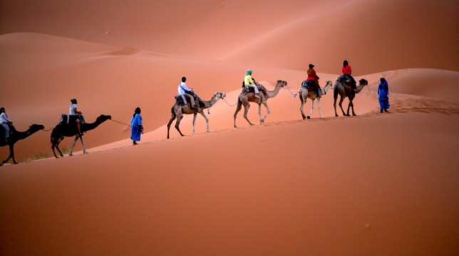 사하라프로젝트 10일