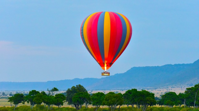 블루트레인 & 아웃 오브 아프리카 20일(2027년 1월 출발)